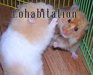 La cohabitation