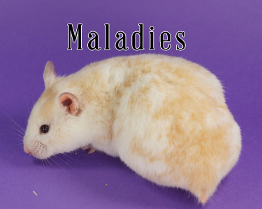 Les maladies