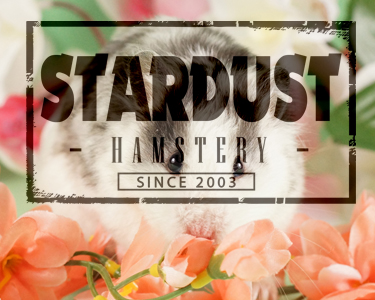Stardust Hamstery